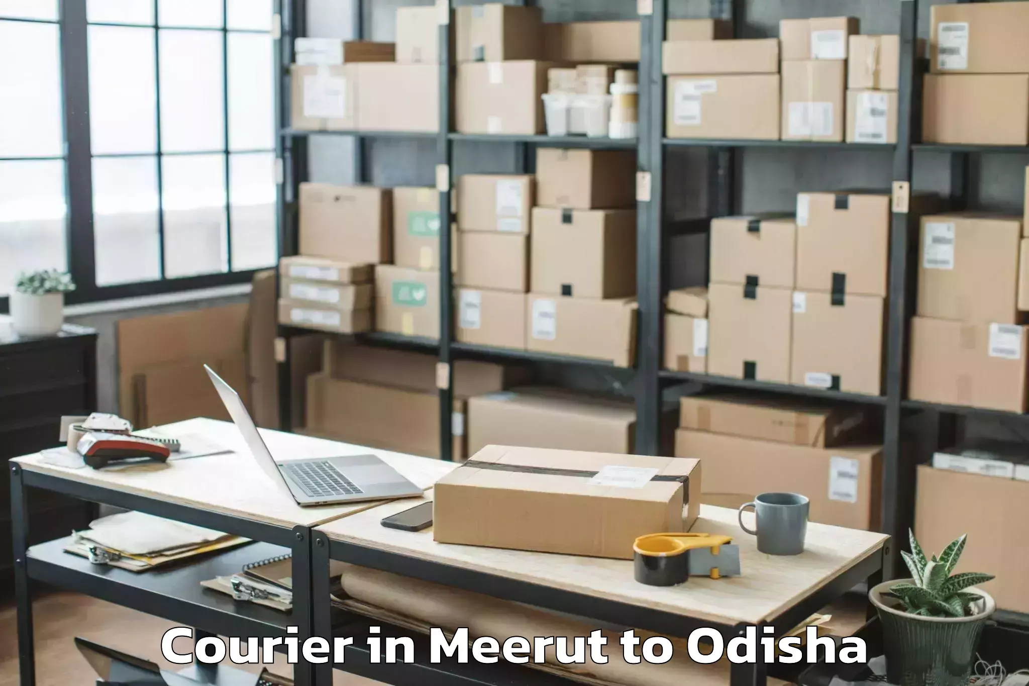 Quality Meerut to Lingaraj Courier